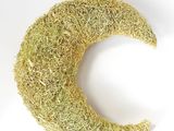 un brin d'herbe en forme de croissant