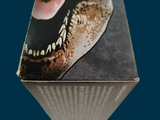 a box with a picture of a t - rex on it