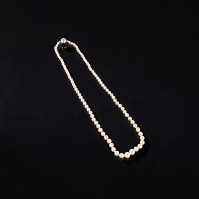 Collier composé d'un rang de perles de culture d'environ 8 à… - Photo 1