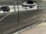 a close up of a car door with a reflection of a dog on it