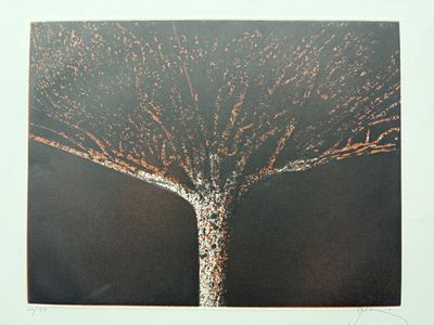 une photo d'une photo d'un arbre sans feuilles