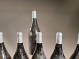 several bottles of wine are lined up on a table