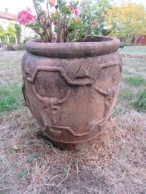 un grand pot contenant une plante, posé sur l'herbe