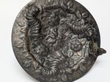 a silver plate with a design on it on a white surface