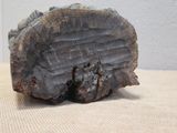 a large piece of wood that is sitting on a table