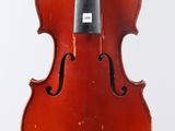 a close up of a violin on a white background