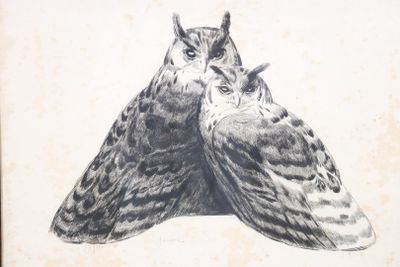 deux chouettes assises l'une à côté de l'autre
