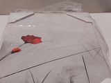a picture of a red flower in a clear bag