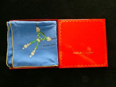 an image of a red box with a blue and red handkerchief
