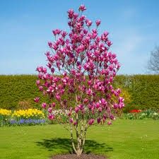 Destockage & Invendus