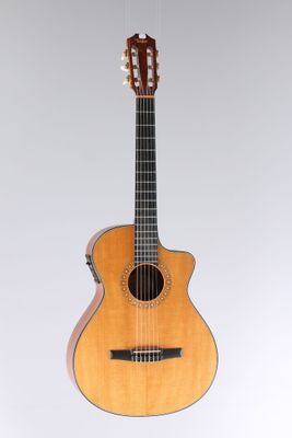 a close up of a guitar on a white background