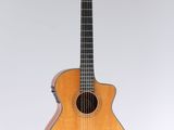 a close up of a guitar on a white background