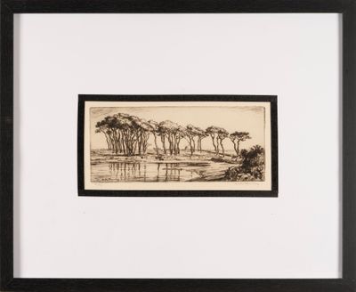 un dessin en noir et blanc représentant des arbres et de l'eau, dans un cadre noir