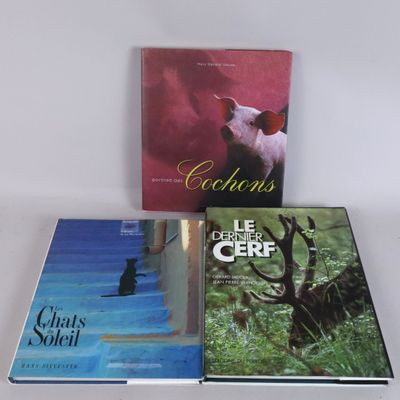 three books are sitting on a white surface, one is a pig and the other is a cat