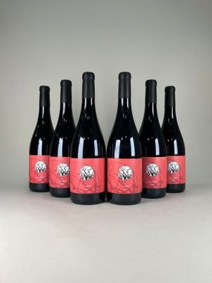 six bottles of red wine are lined up in a row