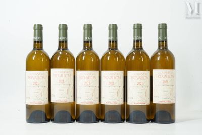 six bouteilles de vin sont alignées sur une surface blanche