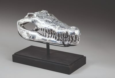 sculpture représentant un crâne de crocodile posé sur un socle, sur fond gris