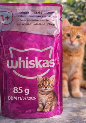 two cats standing next to a bag of cat food