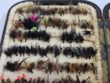 many different types of flies on a tray