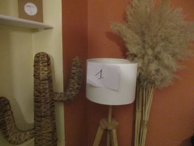 une photo d'une pièce avec une lampe et un cactus