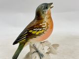 a small bird that is sitting on a branch