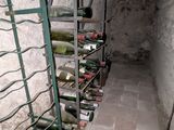 de nombreuses bouteilles de vin dans le casier à vin de la cave