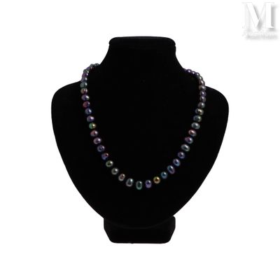 gros plan d'un collier sur un mannequin sur fond blanc