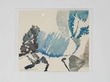 une photo représentant un oiseau bleu dans un cadre blanc