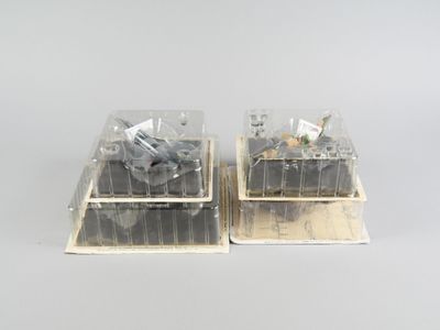 deux boîtes en plastique qui contiennent une sorte de chose à l'intérieur