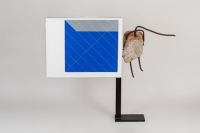 a picture of a bug that is hanging on the wall