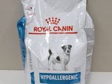 un sac de croquettes Royal Canin hypoallergéniques pour chien posé sur un comptoir
