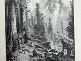 an old picture of a picture of a man flying a kite over a forest