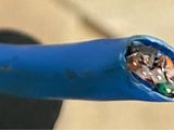 a close up of a blue electrical cable with wires inside of it