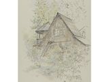 dessin représentant une maison dans les bois, survolée par un oiseau