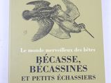 Photo 3/3 du lot