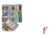 many different types of money in this case