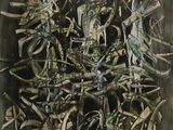 Photo 1/1 du lot