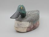 un canard perché sur un morceau de bois