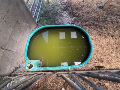 une mare d'eau verte au milieu d'un mur en béton