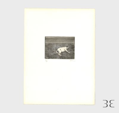 une photo en noir et blanc d'un chien qui court dans un champ