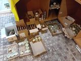 de nombreuses caisses remplies de bocaux et de récipients contenant de la nourriture, posées par terre