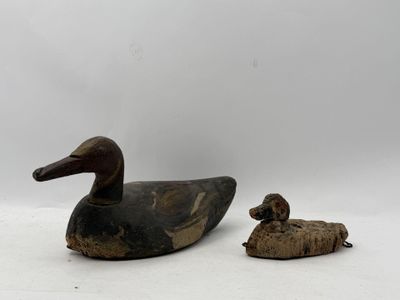 un canard et un caneton assis l'un à côté de l'autre sur une surface blanche