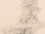 dessin représentant un arbre dans un champ, avec un oiseau qui passe à côté
