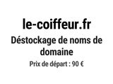 Photo 1/1 du lot