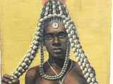 Photo 10/19 du lot
