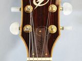 a close up of a guitar with a lightning logo on it