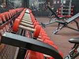 many rows of red dumbbers in a gym