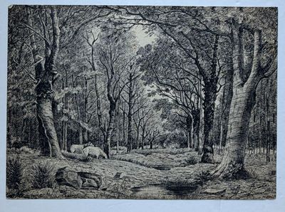 dessin représentant une scène boisée avec des moutons paissant au premier plan
