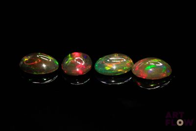 un groupe de trois oplites assis sur une surface noire