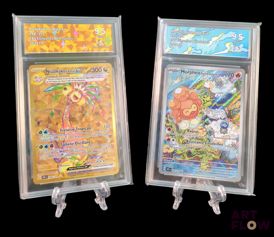 deux types différents de cartes Pokémon exposées